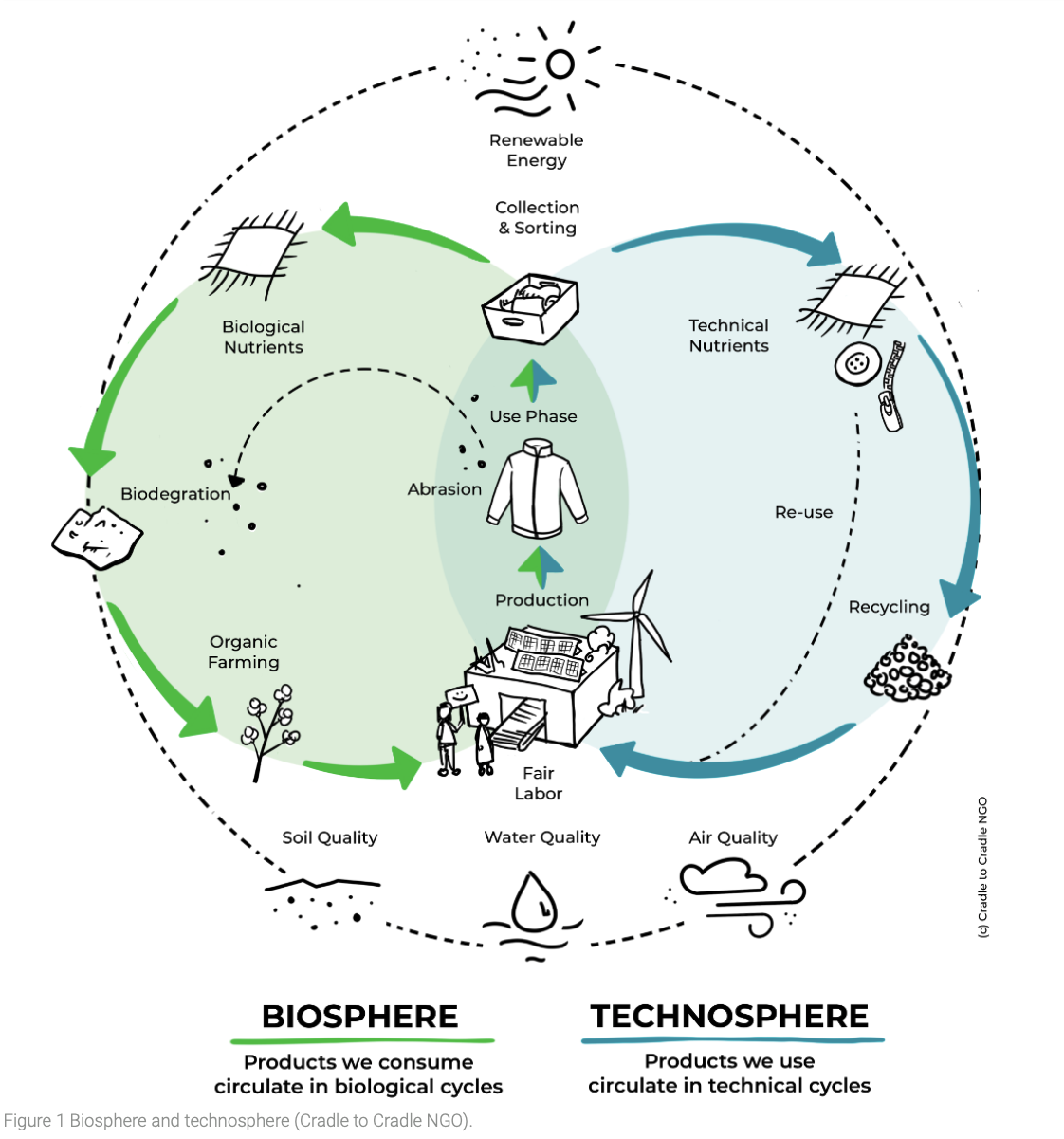 Cradle to Cradle: Why we need to rethink the way we produce