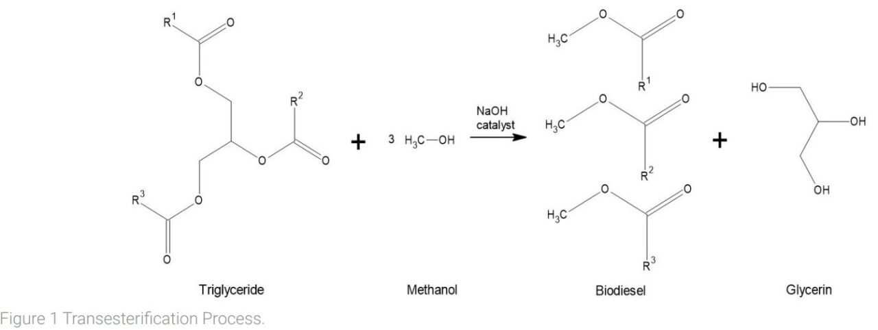 Building bridges in education Ι Business Chemistry