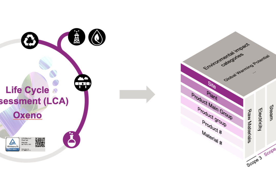 SUScube – An innovative approach to sustainability data management from practice
